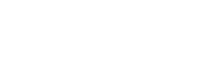 SMOG Cartec & Performance